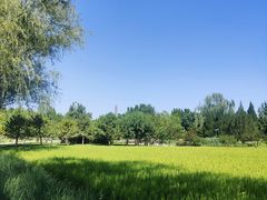 -北坞公园