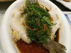 -石头咕(葵蓬店)