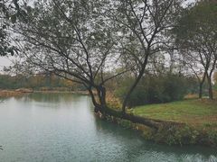 -西溪国家湿地公园