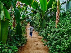 -呀路古热带植物园
