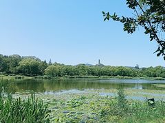 -北坞公园