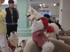 -怪兽屋·羊驼·猫咖·狗咖(俊华广场店)