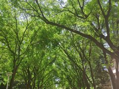 -陕西师范大学(雁塔校区)