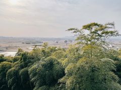 -良渚古城遗址公园