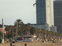 -小巴塞罗那海滩