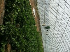 android_upload_pic-万源龙顺度假庄园生态观光园