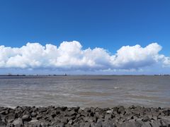 -上海滨江森林公园