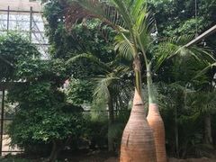 -龙达温泉生态城