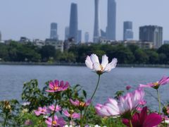 -海珠湖公园