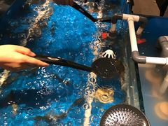 -星伦多自助料理·涮烤一体(嘉兴八佰伴店)