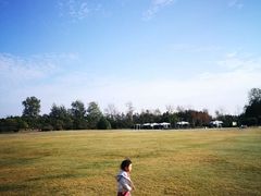 -崇明东平国家森林公园烧烤房车露营地