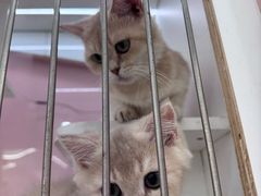 -万达广场(扬州邗江店)