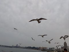 -星海广场
