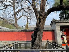 -承恩寺