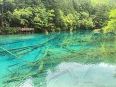 -九寨沟爱情海景区