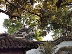 -豫园
