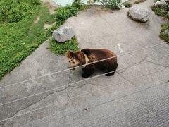 -成都动物园