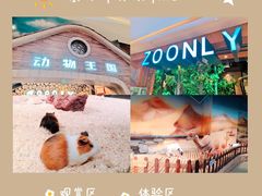 -天津zoonly动物主题公园