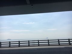 -星海湾跨海大桥