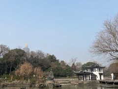 -红梅公园