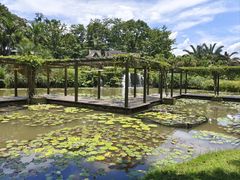 -中国科学院西双版纳热带植物园