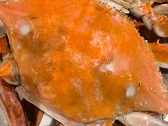 -北塘海鲜·天津菜·鲅鱼水饺是一绝(大光明桥旗舰店)