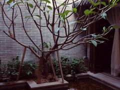 -归觅·西关小姐人文艺术馆(荔枝湾店)