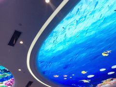 -瑞德姆美人鱼海底演艺主题餐厅(亚龙湾店)