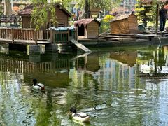 -瑞博尔花园酒店(太周创新产业园店)