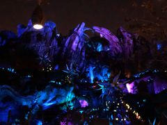 -奥兰多迪士尼动物王国乐园