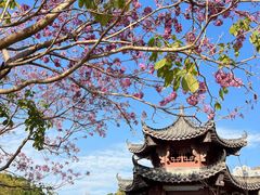 -四海公园(南山区)