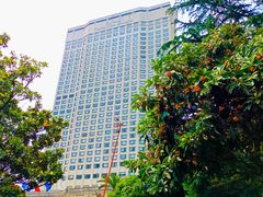 -上海花园饭店