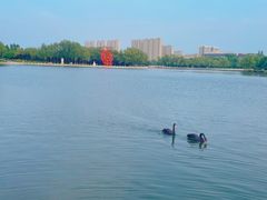 -长春世界雕塑园冰雪艺术天地