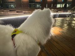 -J Create城市露营咖啡·简餐·宠物(上海动物园店)