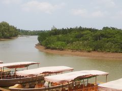 -东寨港红树林旅游区