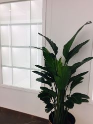 -五洲妇儿医院