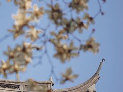 -龙华寺