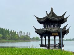 -杭州湾海上花田景区