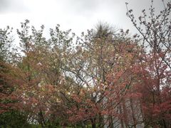 -杭州城北体育公园