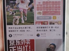 -合肥野生动物园