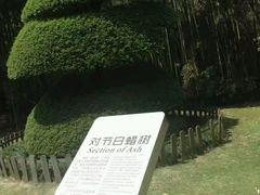 -苏州河梦清园环保主题公园