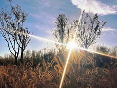 -汉长安城未央宫国家考古遗址公园