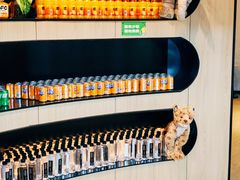 -涨巢·潮玩水疗局