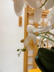 -宥莉·ULLY 痘敏肌•科技皮肤管理中心