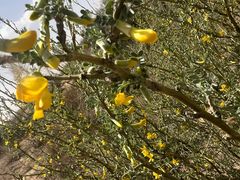 -亿利库布其七星湖沙漠生态旅游区