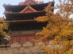 -东华门大街小区