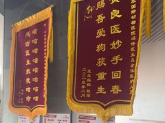-中农国际动物医院24小时·猫科·骨科·急重症中心