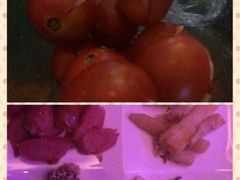 iphone_upload_pic-麦霸KTV(光谷店)
