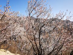 -妙峰山风景名胜区