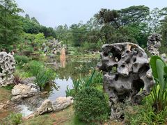 -东莞植物园